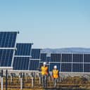 Two workers with helmets walking through a solar panel farm