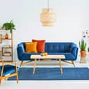 a lively living room interior accented with green plants