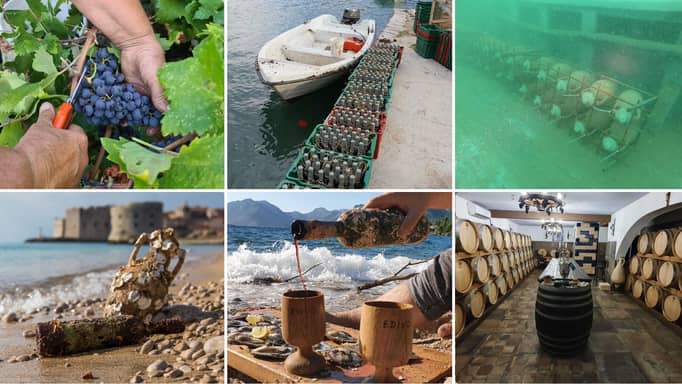 Collage of images showing Edivo Winery wine at various stages of production.