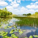 The Everglades National Park in Florida, USA