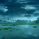 A rainy weather over a swampy area