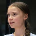 Portrait of a young Greta Thunberg
