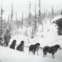 Jean (or Gene) Allen pictured with his dog sleigh established a mail service in 1898 that delivered mail and the weekly Klondike Nugget to creeks near Dawson City