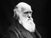 Black and white photograph of elderly Charles Darwin