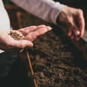 A woman planting seed in dirt