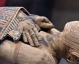 Egyptian mummy 
