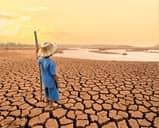A boy with a long stick standing in a dry river bed