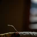 a loose thread on a piece of fabric set against a dark, blurred background