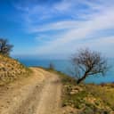 A winding dirt road leading to a lighthouse situated on the beach.