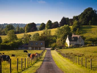 Dirt road in a rural farm village.