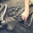 close-up of an archaeologist using tools to examine a human burial site, revealing a skeleton