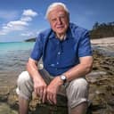 Photograph of Sir David Attenborough seated at the Great Barrier Reef
