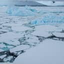 Broken ice sheets floating in water