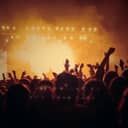 crowd enjoying a live music concert