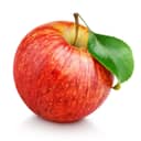 Red apple against a white background