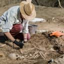 An archeologist cleaning buried bones at an archaeological site