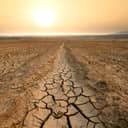 Canal middle agricultural dry by drought and heatwave on summer. water crisis and water stress on summer during long term drought on summer.