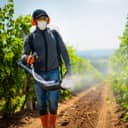 Farmer with manual electric fogger machine spraying pesticides in a vineyard