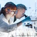 Two researchers in a laboratory