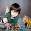 Kid playing with dinosaur toys