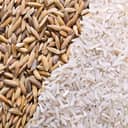 Close-up of rice husk and grains of rice.