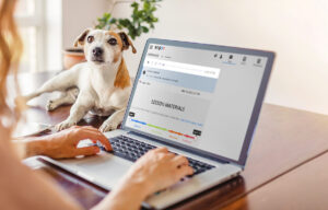 Engoo's Latest Update: Automatic Lesson Recordings