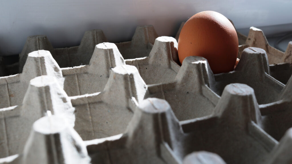 A carton of eggs that is empty except for one egg