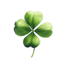 Digital illustration of a four leaf clover lucky concept